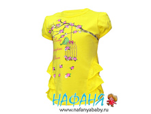 5064.jpg==240���