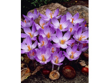 7,91���. ������ �������� (����������.)(���������� ������ ������ ���������� �� 10 ��.).jpg