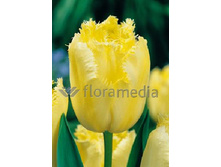 14,11���. ������� ����(��� 10 ��. ���������� ������ 5��.).jpg