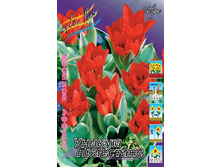 13,68���. ������� ������ ���������(��� 10 ��. ���������� ������ 5��.).jpg