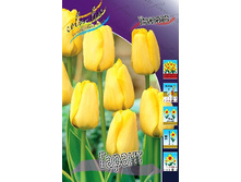 11,51���. ������� ������(��� 10 ��. ���������� ������ 5��.).jpg