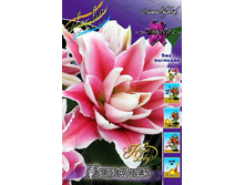 50,62���. �����  ROSELILY �������(�������� ���� �� 5 ��., ����������� ����� 1��.)���14.jpg