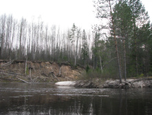 ����� ��� 7