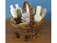 ����� "���������". ���� �� �������