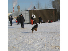 IMG 9329.JPG