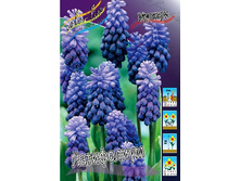 6,61���. ������� ����������(���������� ������ ������ ���������� �� 10 ��.).jpg