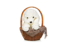 ������ - 612,81 ������