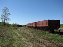 IMG_6806_resize.JPG