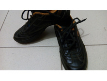 IMG 20150519 082003.jpg