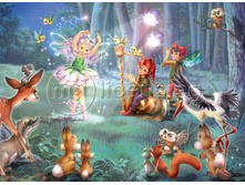 ����� ��������� ���