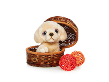 �������� - 393,49 ������