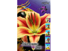 28,15���. �����  ������� ���(��� 10 ��. ���������� ������ 5��.).jpg