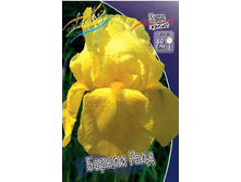 75,9���. ���� ���������� ������ ����(�������� ���� �� 3 ��., ����������� ����� 1��.).jpg