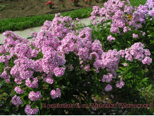 ��������-170�