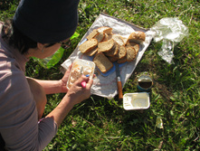 IMG_3597.jpg