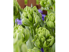 45,7���. ������� ��������(�������� ���� �� 7 ��., ����������� ����� 1��.)���14.jpg