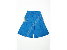 ���. 1101 SDLB.jpg