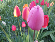 20150516 185939.jpg