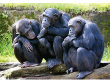 IMG 20150512 130322 0.jpg