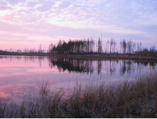 IMG 8632.JPG