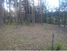 IMG 20150612 182717.jpg