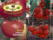 ������ 20 ���..jpg