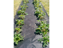 IMG 20150613 130358.jpg