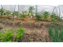 IMG 20150626 142632.jpg