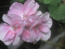 IMG 20150623 155826 525.jpg