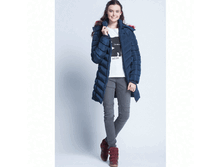 Shock-FW14C �����-������� ������ ������.GIF