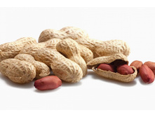 ������ ����������� �����