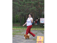 30-DSC 6375.JPG