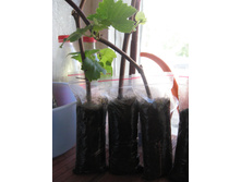 ��������� ������� ���������