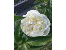 20150607 155735 Richtone(HDR).jpg