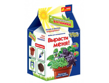 ����� ������� ���� (�������)