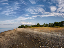 DSC 0564.jpg