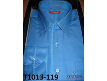 �������:T1013-119