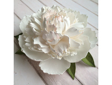 ���� �� ���������