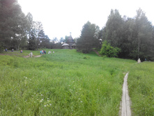 IMG 20150613 143453.jpg