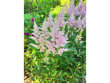 �������� �������� ��� ������� ������, ���������, �� 100 �