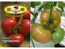 ��������� 25 ���. ������������������ ������