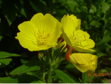 19.06.07 ����� 012.jpg