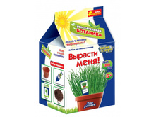 ����� ������� ���� (��� �������)