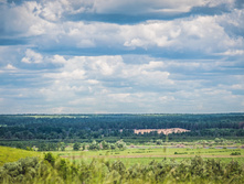  DSC2117.jpg