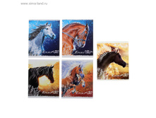 ������� 48� ������ ������ ��-���, 5 ����� ���� ���. 759278 ���� 14,68 ���. ���. 10 ��.jpg