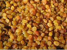 ���� �������.jpg