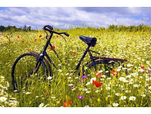 �� ������� ������� �����....jpg