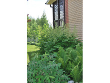 ��������  100 ���