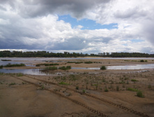 IMG 20150606 115422.jpg