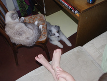 IMGP4176.JPG